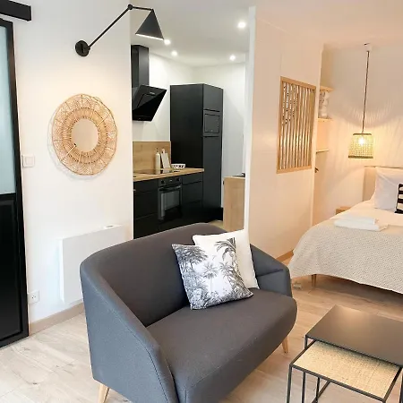 Cozymaine, Superbe Au Coeur D'angers Apartment *